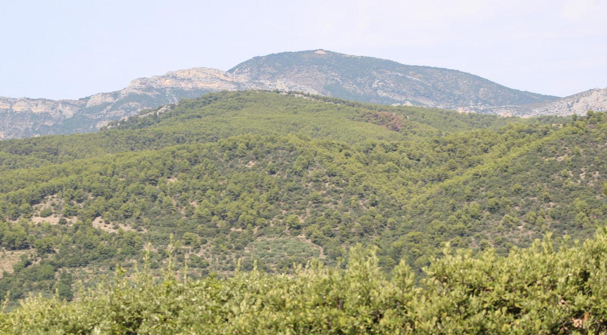 Apartament Le Pas Du Ventoux Mollans-sur-Ouvèze Zewnętrze zdjęcie